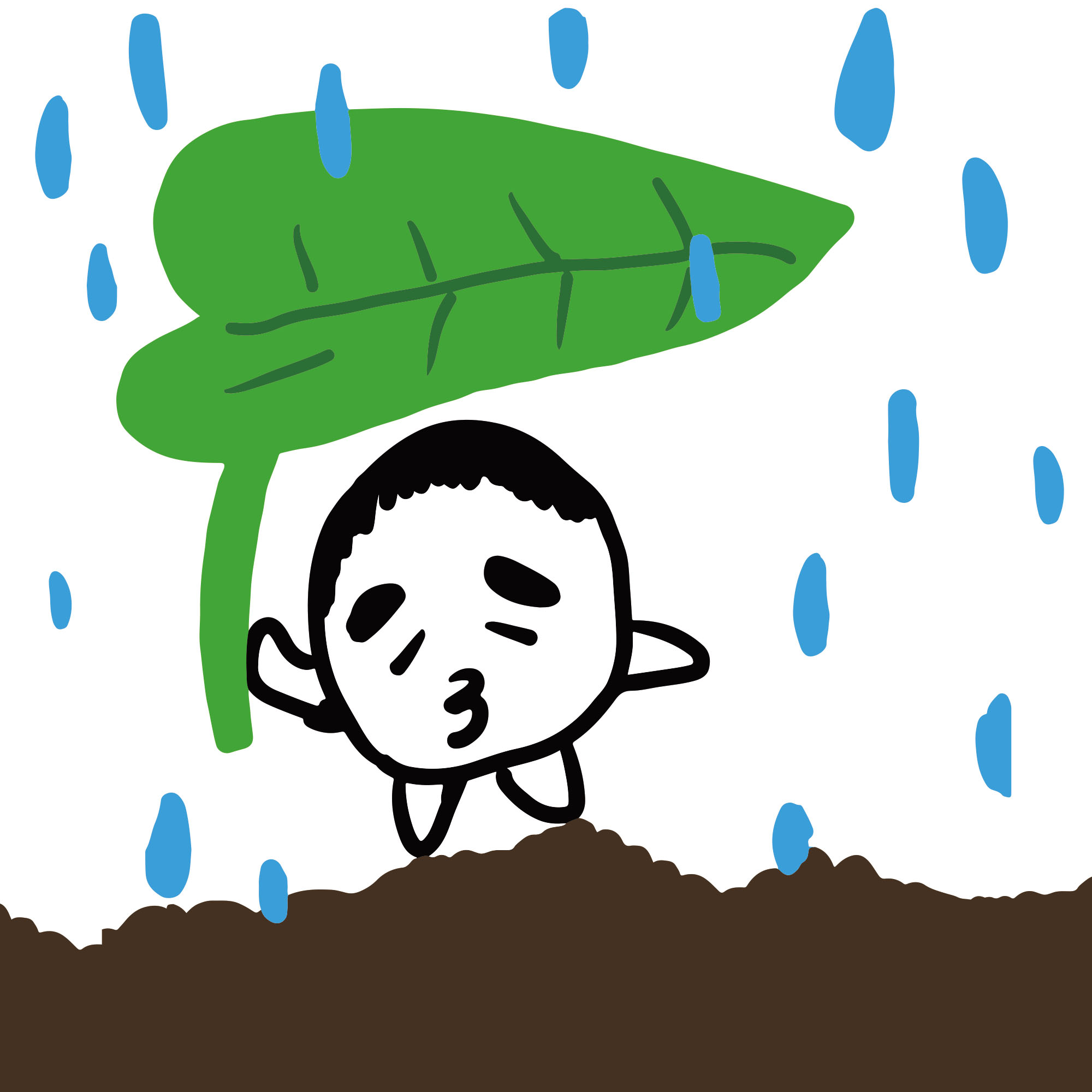 きもじい 雨だなぁ。